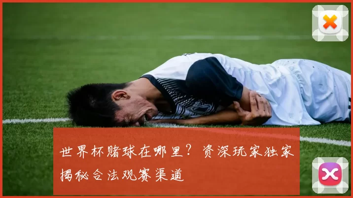 世界杯赌球在哪里?资深玩家独家揭秘合法观赛渠道