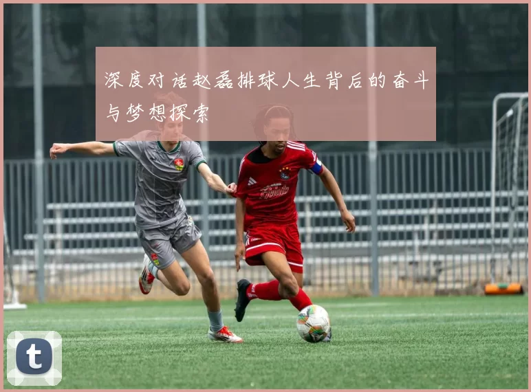 深度对话赵磊排球人生背后的奋斗与梦想探索