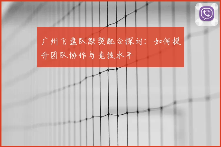 广州飞盘队默契配合探讨：如何提升团队协作与竞技水平
