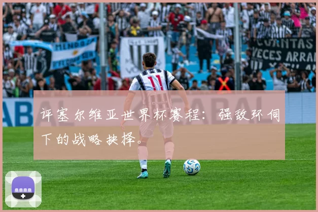 评塞尔维亚世界杯赛程：强敌环伺下的战略抉择。