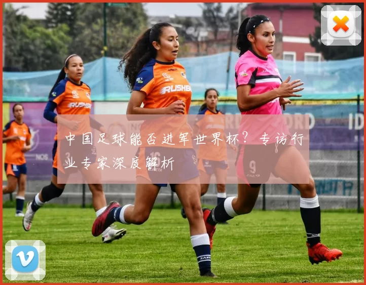 中国足球能否进军世界杯？专访行业专家深度解析