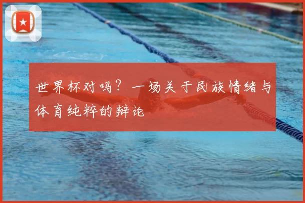 世界杯对吗？一场关于民族情绪与体育纯粹的辩论