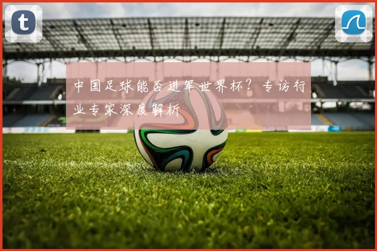 中国足球能否进军世界杯？专访行业专家深度解析