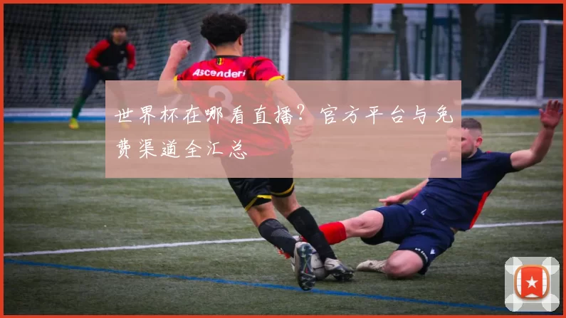 世界杯在哪看直播？官方平台与免费渠道全汇总