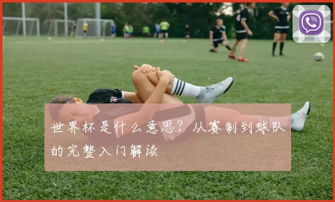 世界杯是什么意思？从赛制到球队的完整入门解读