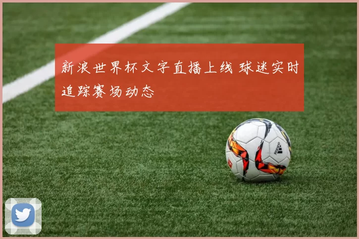 新浪世界杯文字直播上线 球迷实时追踪赛场动态